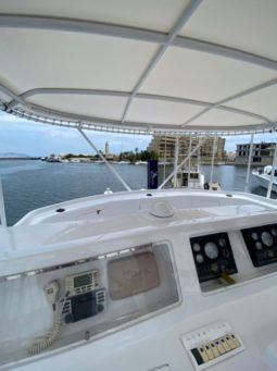 
										VIEIRA FLY BRIDGE 45 full									
