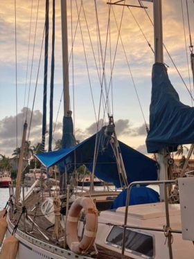 VELERO CICR KOALA 50