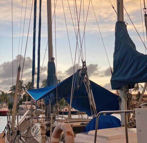 
								VELERO CICR KOALA 50 full									