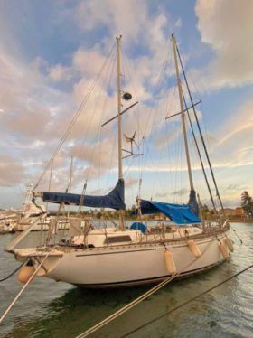 VELERO CICR KOALA 50