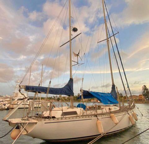 
								VELERO CICR KOALA 50 full									