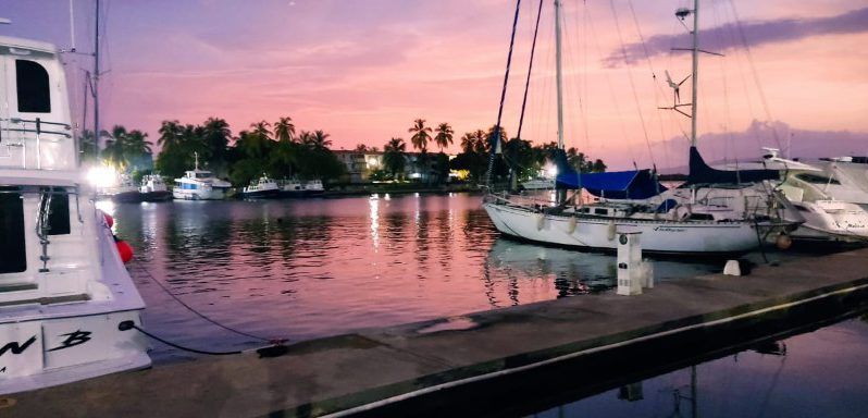 
								VELERO CICR KOALA 50 full									