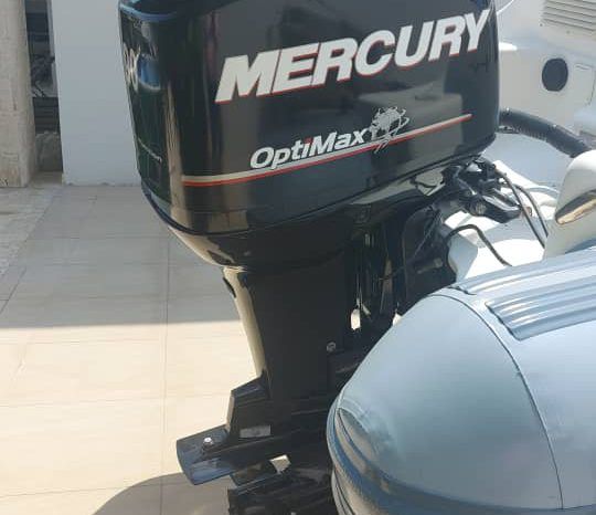 
								DINGHY CARIBE 15 full									