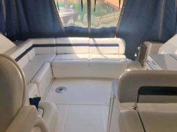 
										SEA RAY SUNDANCER 43 full									