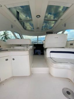 
										SEA RAY SUNDANCER 43 full									