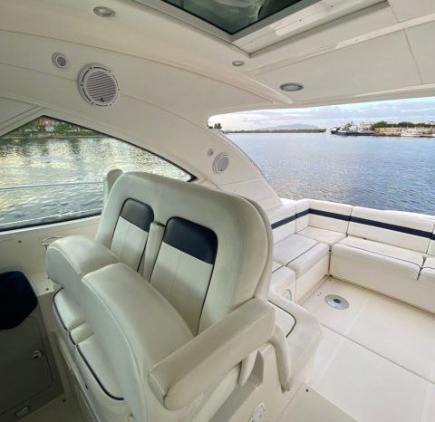
								SEA RAY SUNDANCER 43 full									