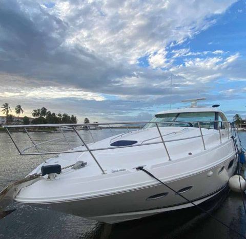 
								SEA RAY SUNDANCER 43 full									