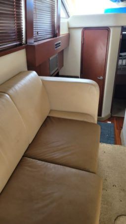 
										SEA RAY SEDAN BRIDGE 36 full									