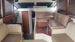 
										SEA RAY SEDAN BRIDGE 36 full									