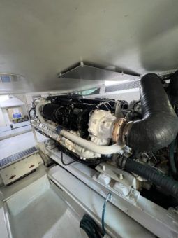 
										VIKING CONVERTIBLE 55 full									