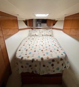 
										VIKING CONVERTIBLE 55 full									