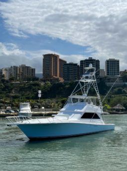 
										VIKING CONVERTIBLE 55 full									