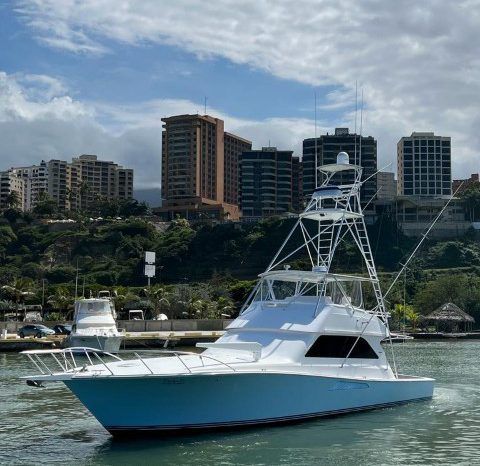 
								VIKING CONVERTIBLE 55 full									