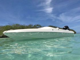 BLACK JACK SPORT 21