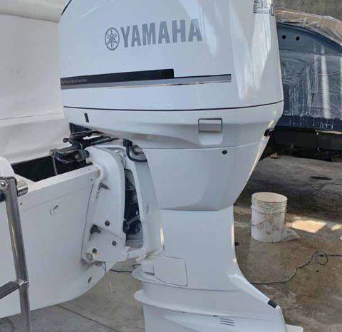 
								INTERMARINE OPEN 24 full									