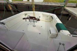 EGG HARBOR SPORT FISHERMAN 54
