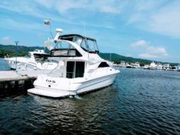 
										SEA RAY SUNDANCER 40 full									