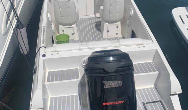 
								COPPOLA 24 full									