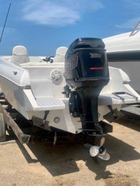 COPPOLA 24