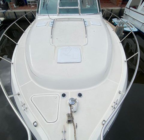 
								TIARA 35 full									