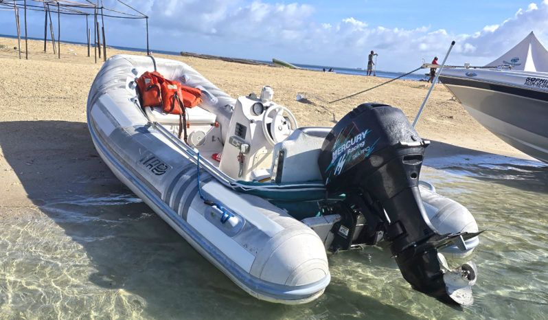 
								DINGHY AB 13 full									