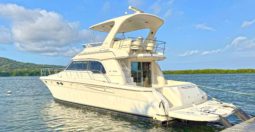 SEA RAY SEDAN BRIDGE 480 48