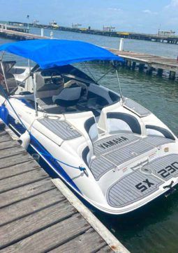 
										YAMAHA SX230 23 full									