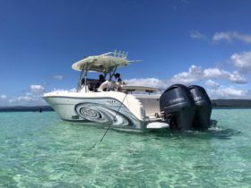 PROMARINE OPEN 33