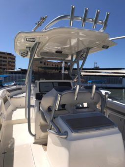 
										PROMARINE OPEN 33 full									