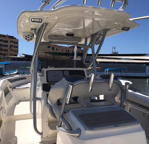 
								PROMARINE OPEN 33 full									