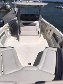 
										PROMARINE OPEN 33 full									