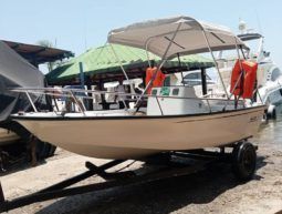 
										BOSTON WHALER OPEN 15 full									