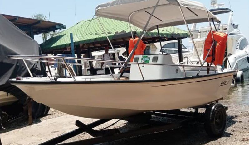 
								BOSTON WHALER OPEN 15 full									