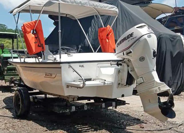 
								BOSTON WHALER OPEN 15 full									