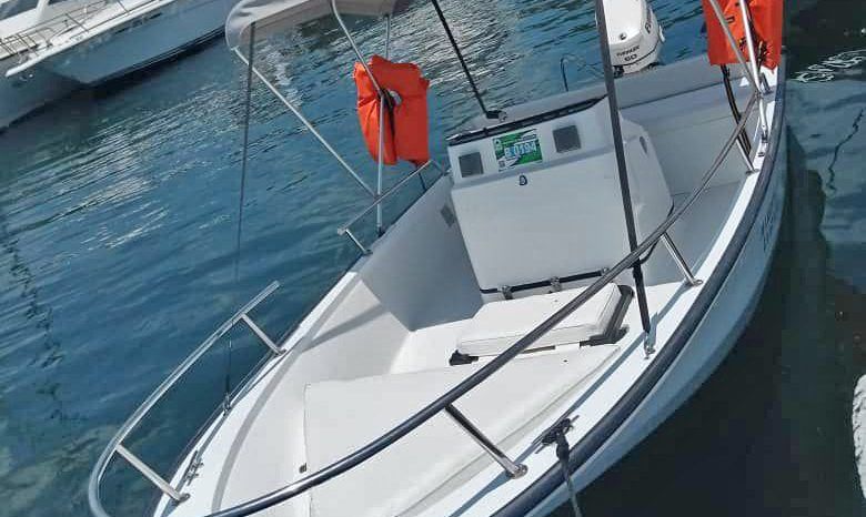 
								BOSTON WHALER OPEN 15 full									