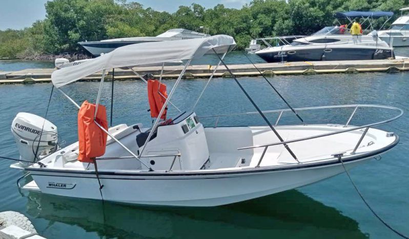 
								BOSTON WHALER OPEN 15 full									