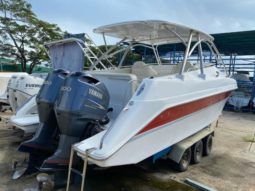 
										INTERMARINE AVANTI 35 full									