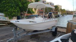 
										BOSTON WHALER 11 full									