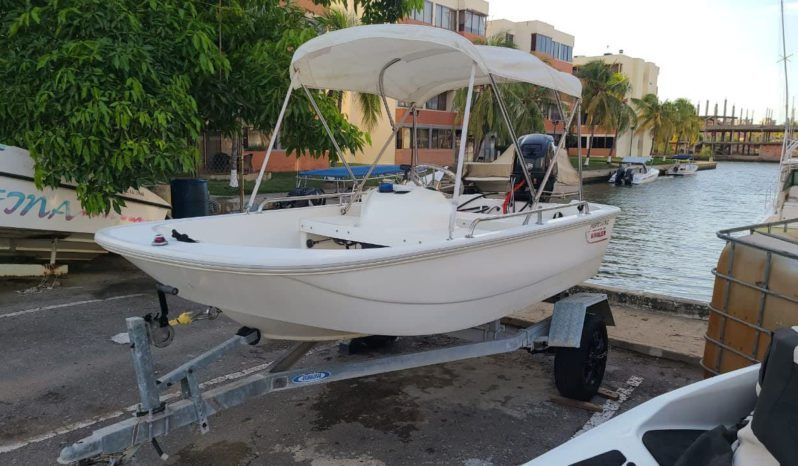 
								BOSTON WHALER 11 full									