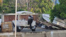 
										BOSTON WHALER 11 full									