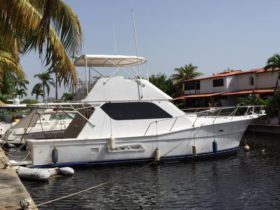 VIEIRA FLY BRIDGE 45