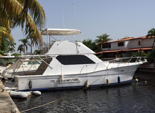 
								VIEIRA FLY BRIDGE 45 full									