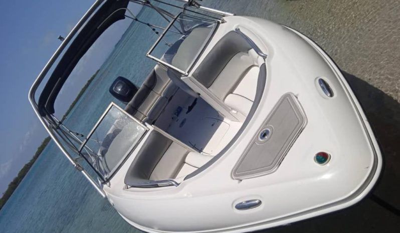 
								YAMAHA 230AR 23 full									