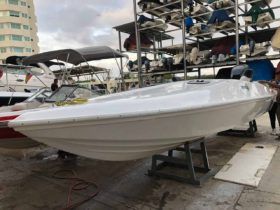 EVOLUTION SPORT 22