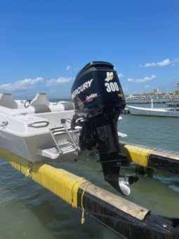 
										EVOLUTION SPORT 22 full									