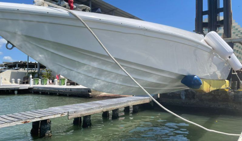 
								EVOLUTION SPORT 22 full									