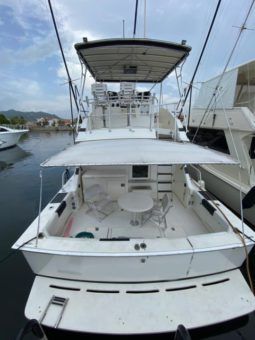 
										BERTRAM SPORT FISHERMAN 43 full									