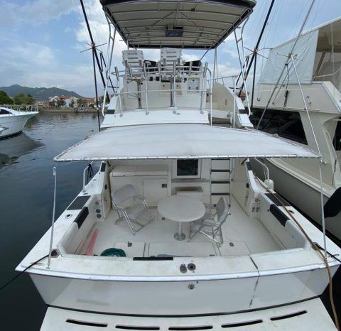 
								BERTRAM SPORT FISHERMAN 43 full									