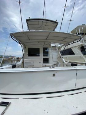 BERTRAM SPORT FISHERMAN 43