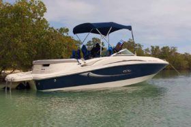 SEA RAY 50 ANIVERSARIO 19.5